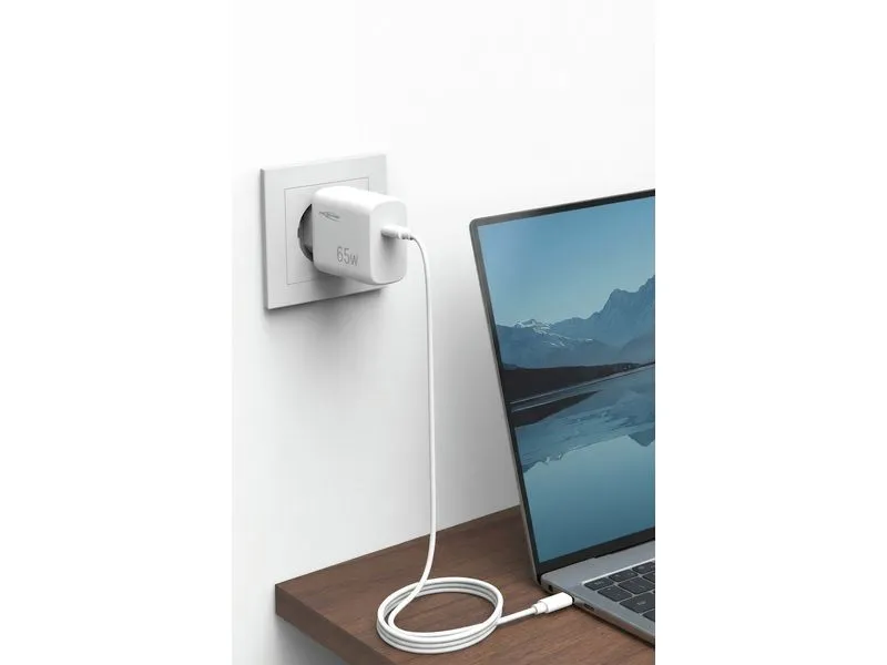 Ansmann Home Charger HC165PD / 4.5 A / 65 W / 1 Port