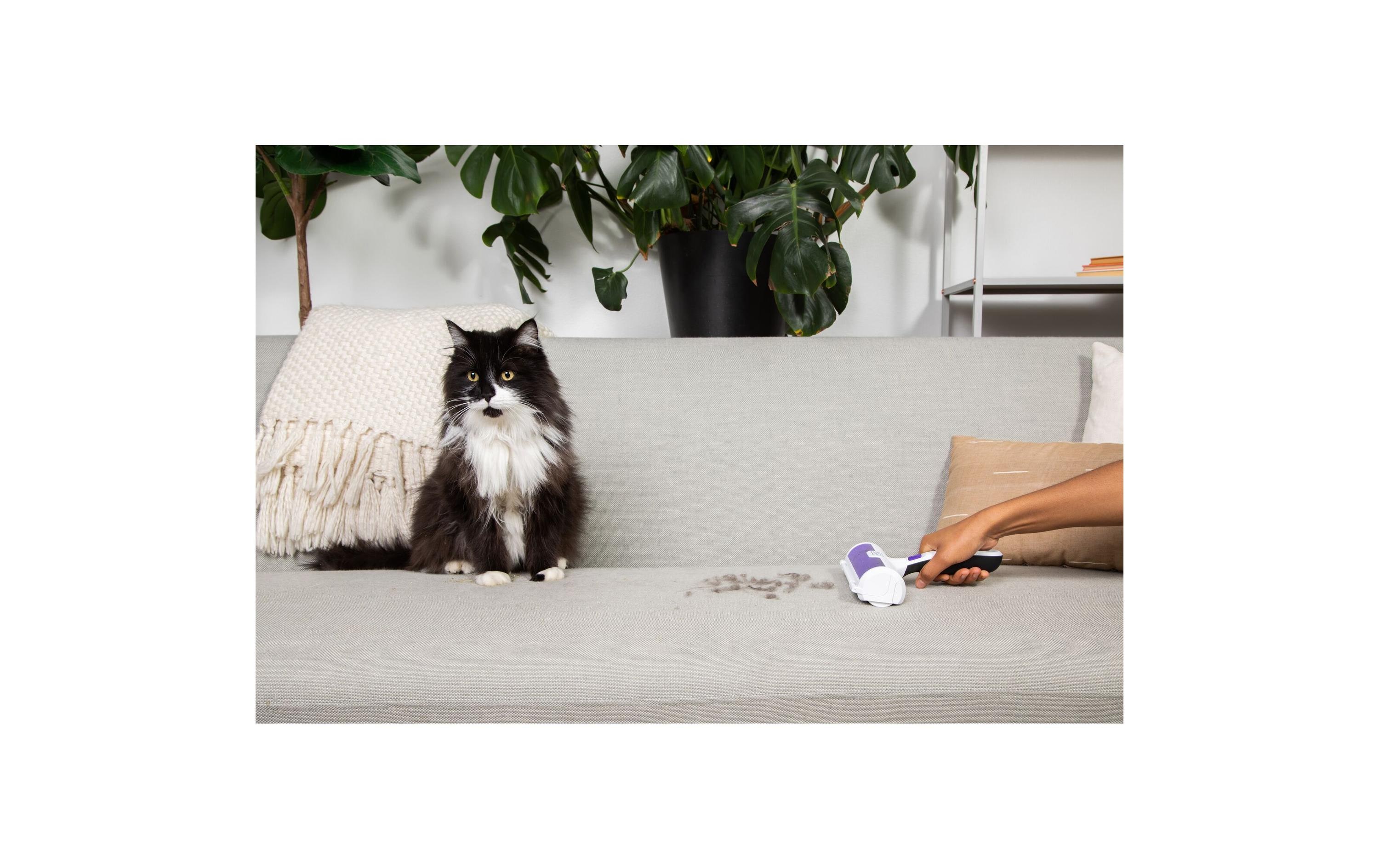 BLACK+DECKER Tierhaarentferner Weiss / Lila