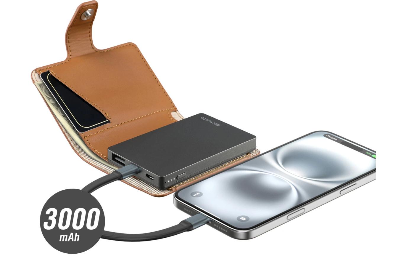 4smarts Powerbank PowrWallet 3000 mAh