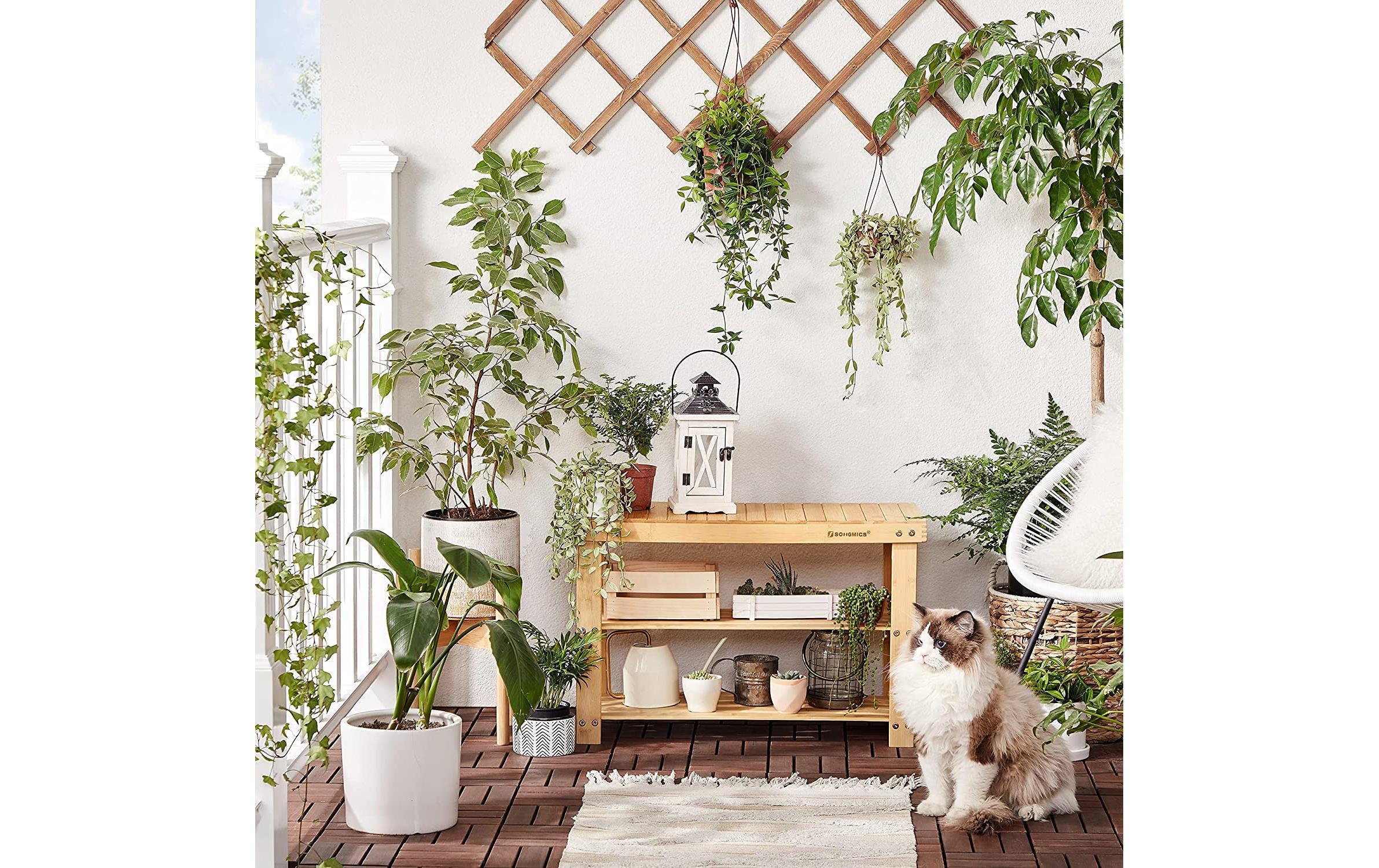 Songmics Schuhregal aus Bambus, Nature