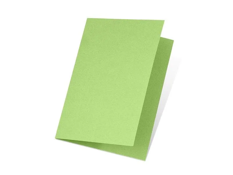 Artoz Blankokarte 1001, A5, 5 Blatt, Birkengrün Artoz Blankokarte 1001, A5, 5 Blatt, Birkengrün