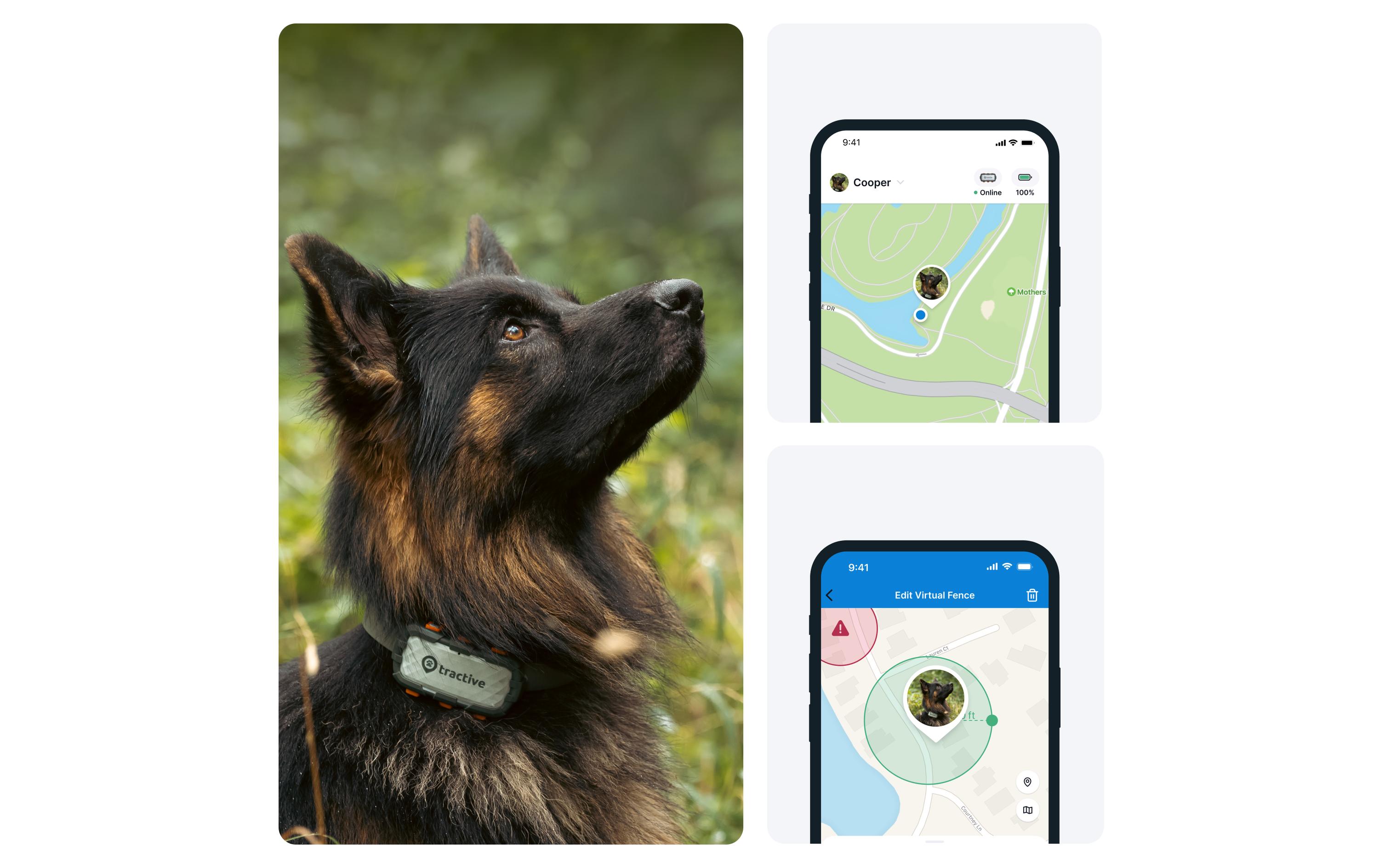 tractive GPS-Tracker DOG XL Adventure Edition, Grau tractive GPS-Tracker DOG XL Adventure Edition, Grau