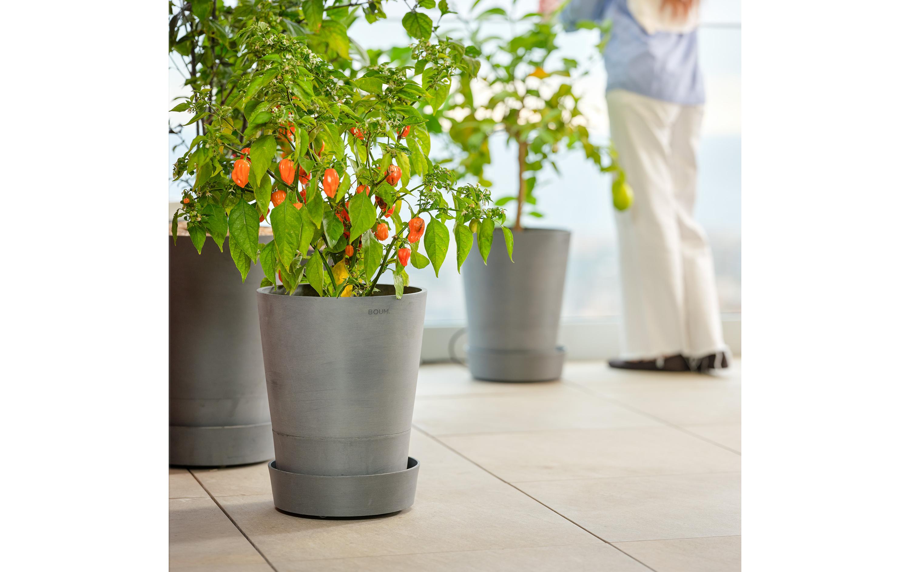 Boum Pflanzentopf 15 L Pro Braun