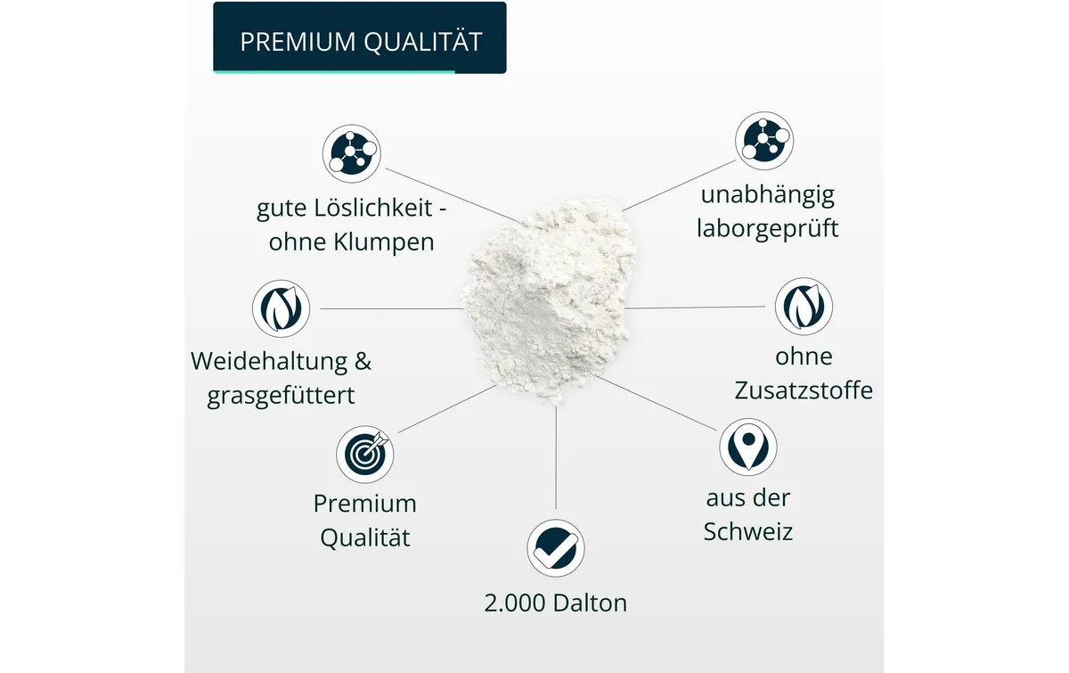 Brandl-Nutrition Pulver Kollagen Beatuy + 550 g Brandl-Nutrition Pulver Kollagen Beatuy + 550 g