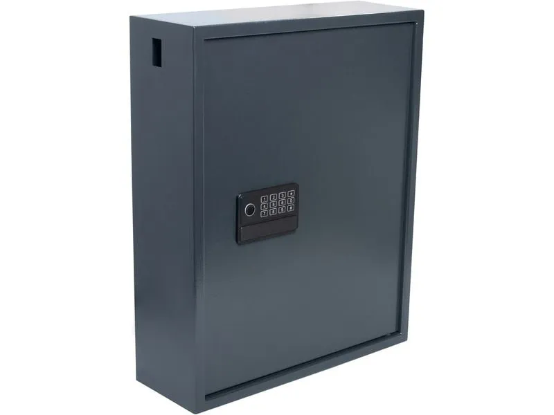 Pavo Schlüsselsafe Advanced 150 Haken, Grau Pavo Schlüsselsafe Advanced 150 Haken, Grau