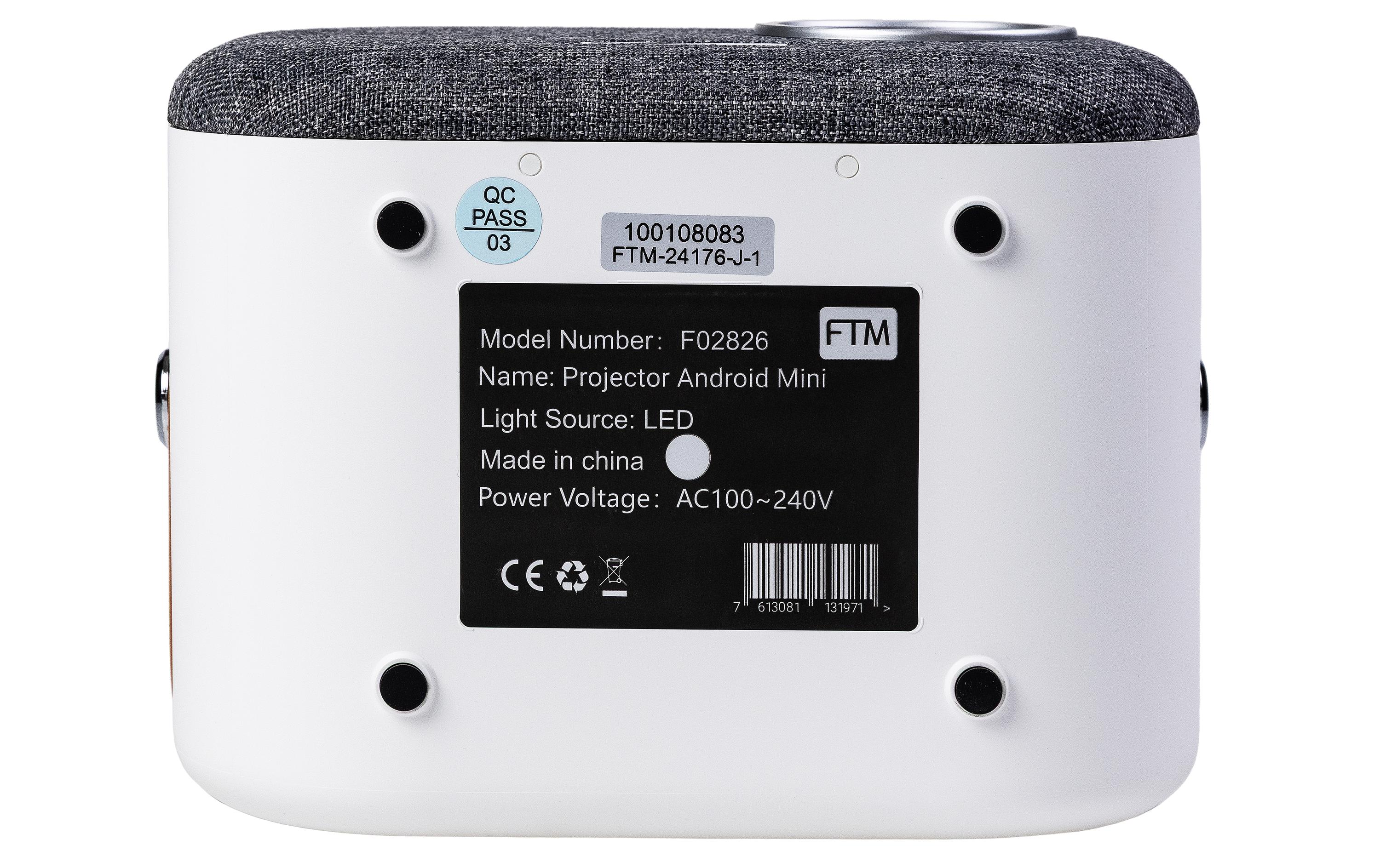 FTM Projektor Mini