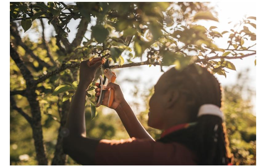 Fiskars Gartenschere Bypass P751, 28.5 x 12.2 x 3 cm