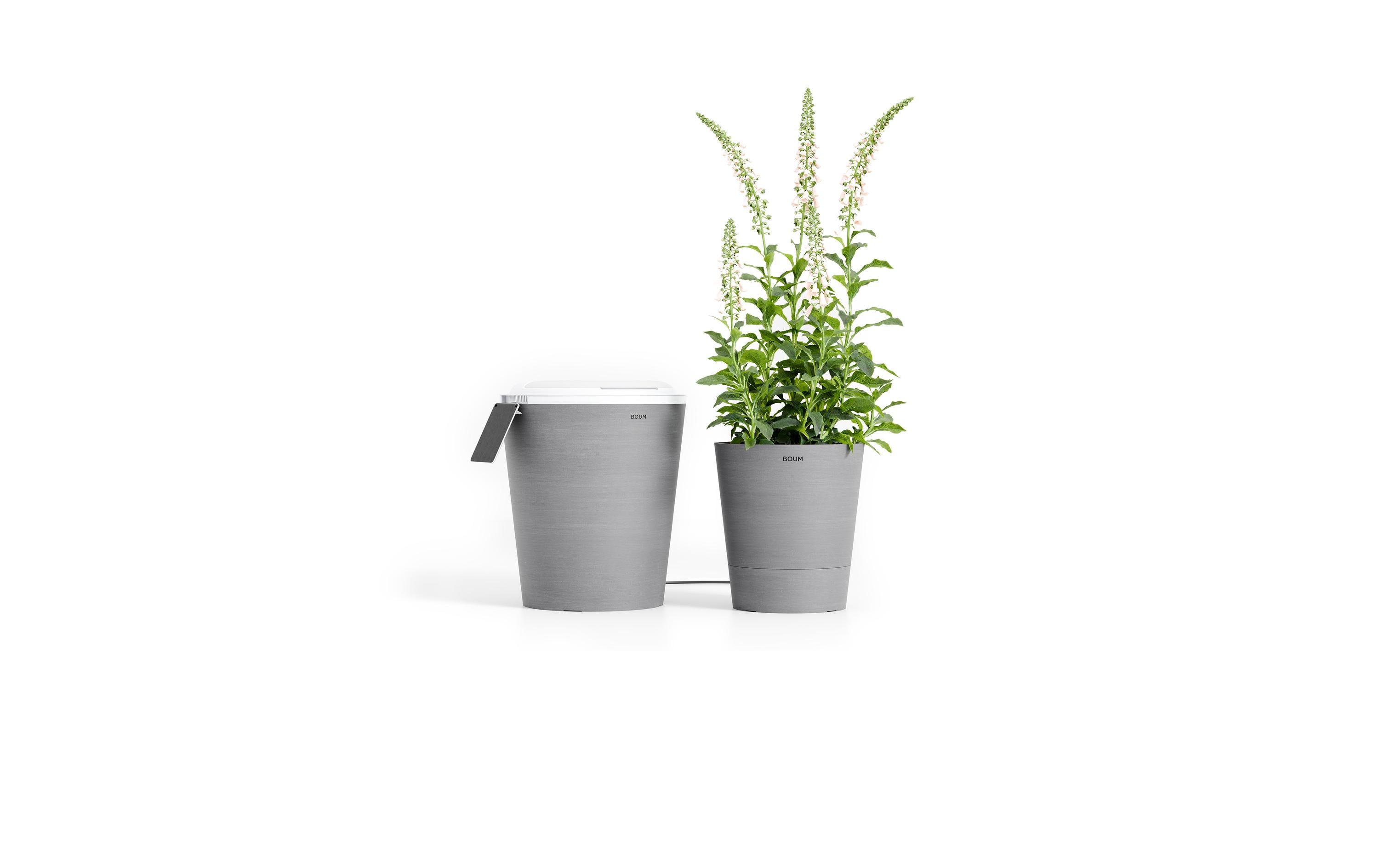 Boum 2 Starter Set Grau