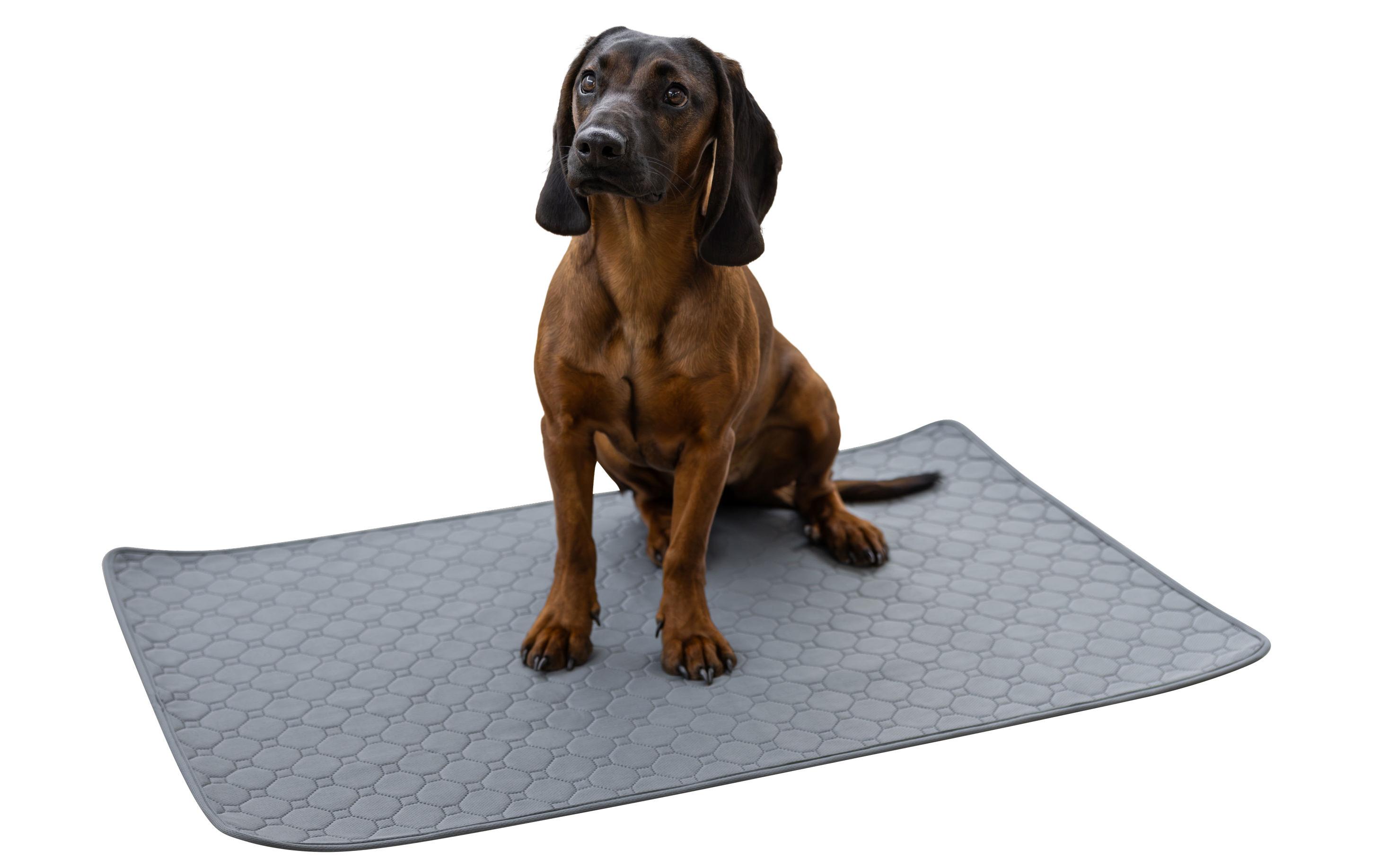 Kerbl Waschbare Urinunterlage 90 x 60 cm Kerbl Waschbare Urinunterlage 90 x 60 cm