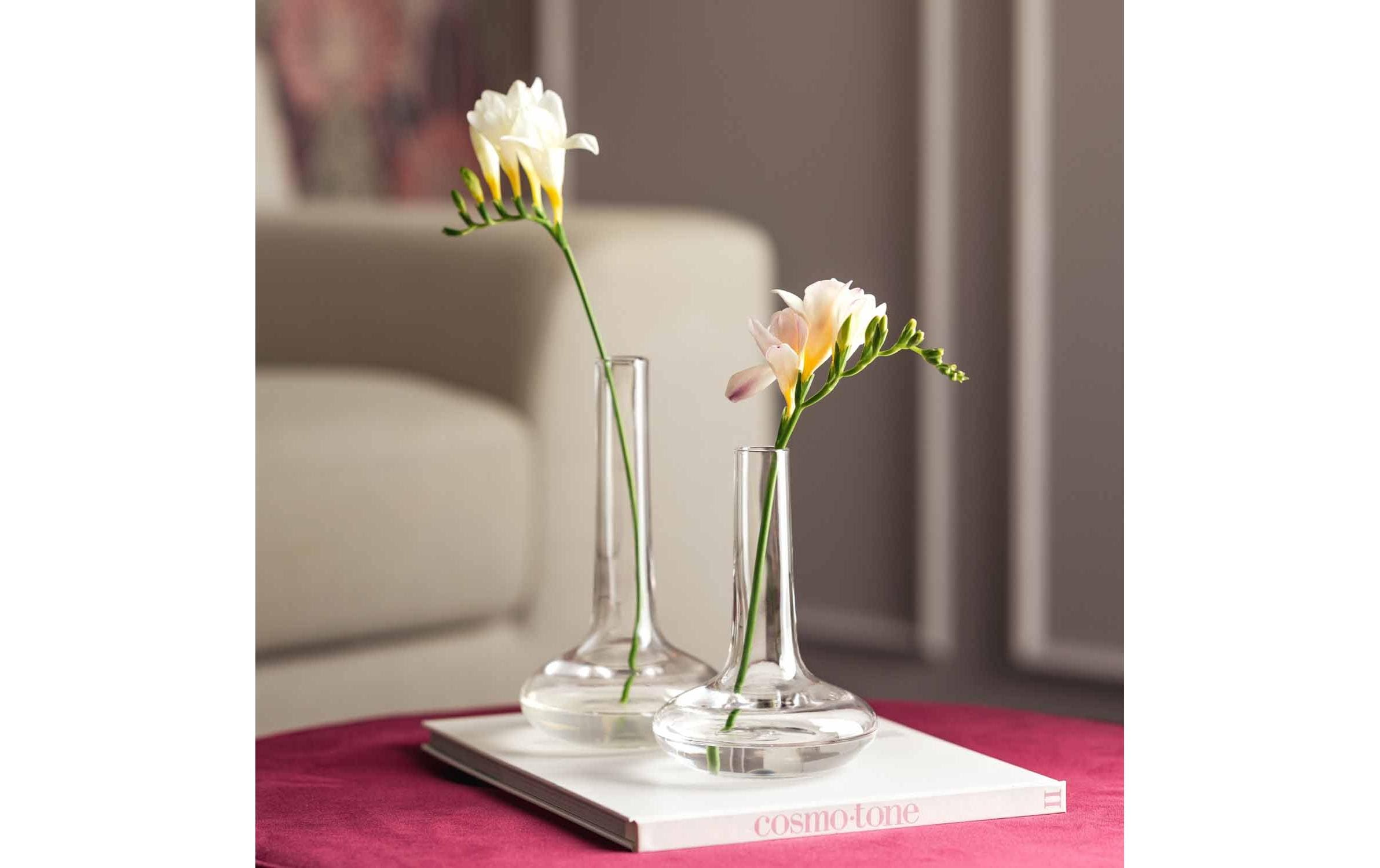 Leonardo Vase Aria 17 cm, Transparent