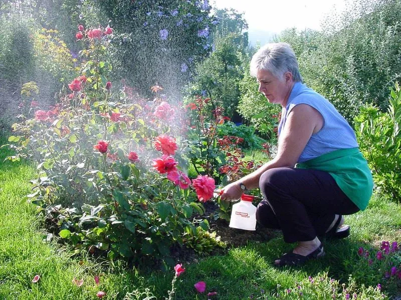 Birchmeier Handsprüher Florajet