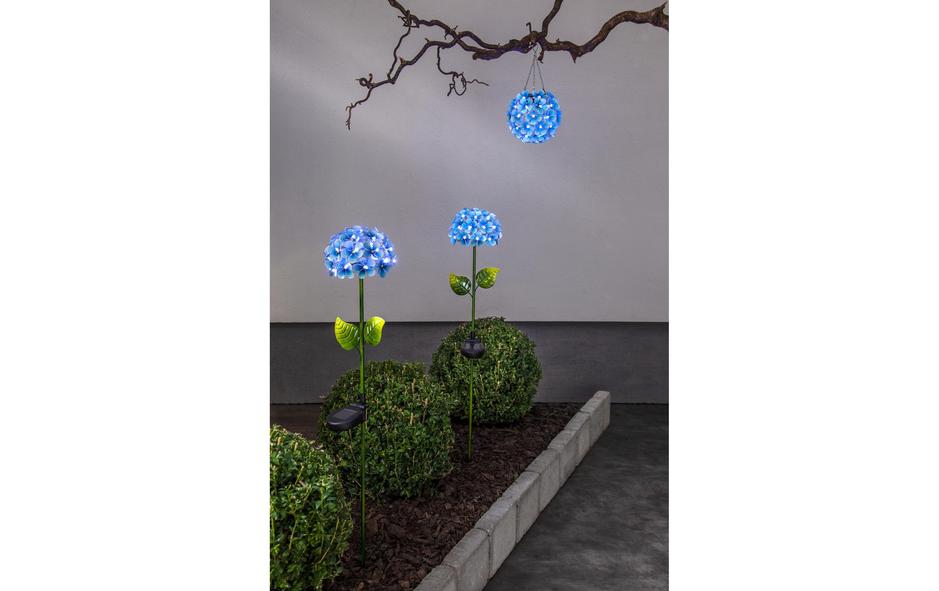 Star Trading Gartenlicht Solar Hortensia, Blau