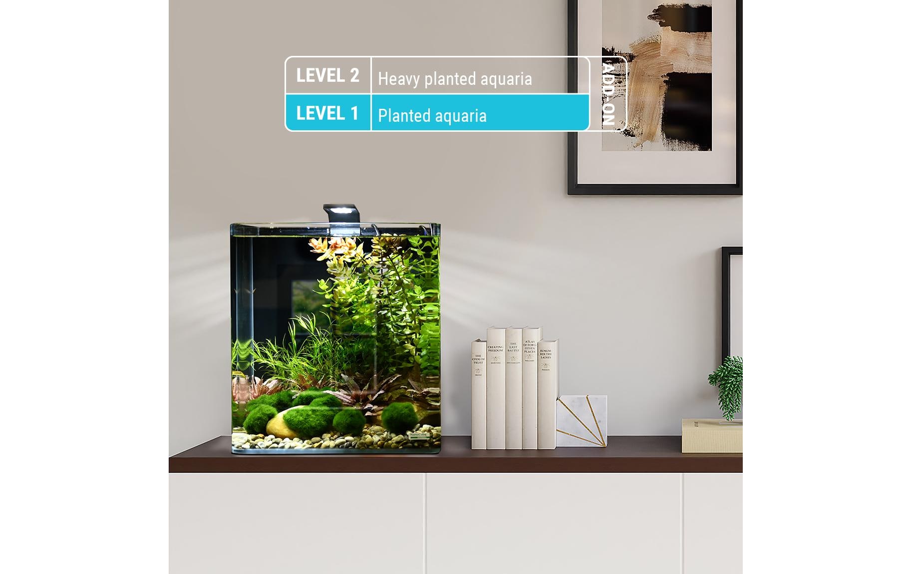 Dennerle Pflanzenpflege Plant Elixier Basic, 250 ml