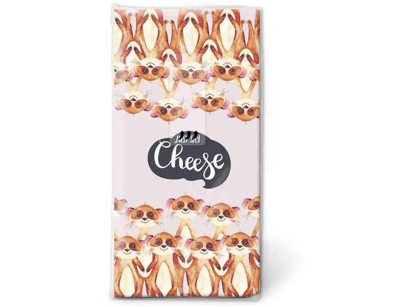 Paper + Design Taschentücher Say Cheese 4-lagig, 10 Stück