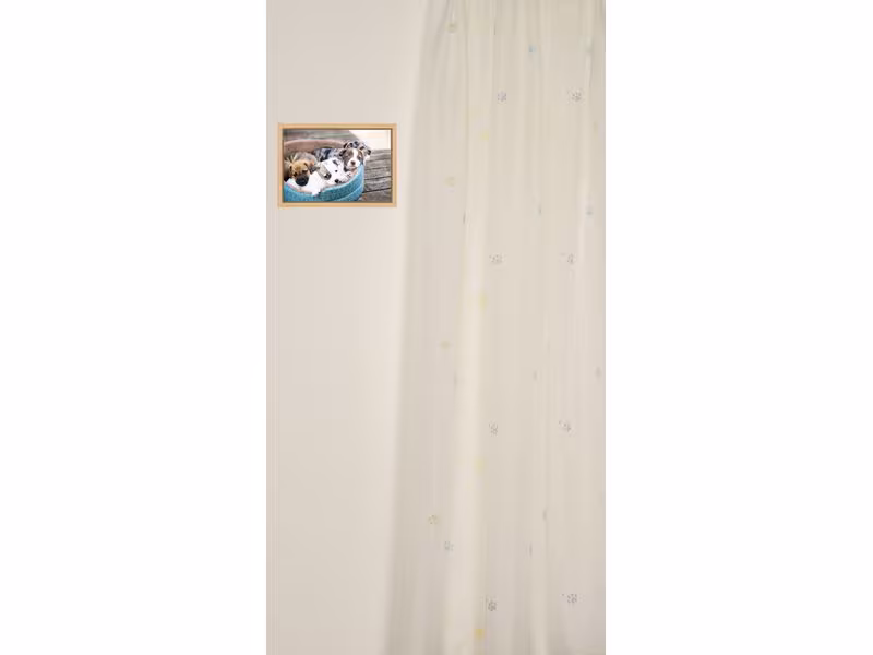 Kindervorhang.ch Tagvorhang Strolch mit Faltenband 140 cm x 240 cm