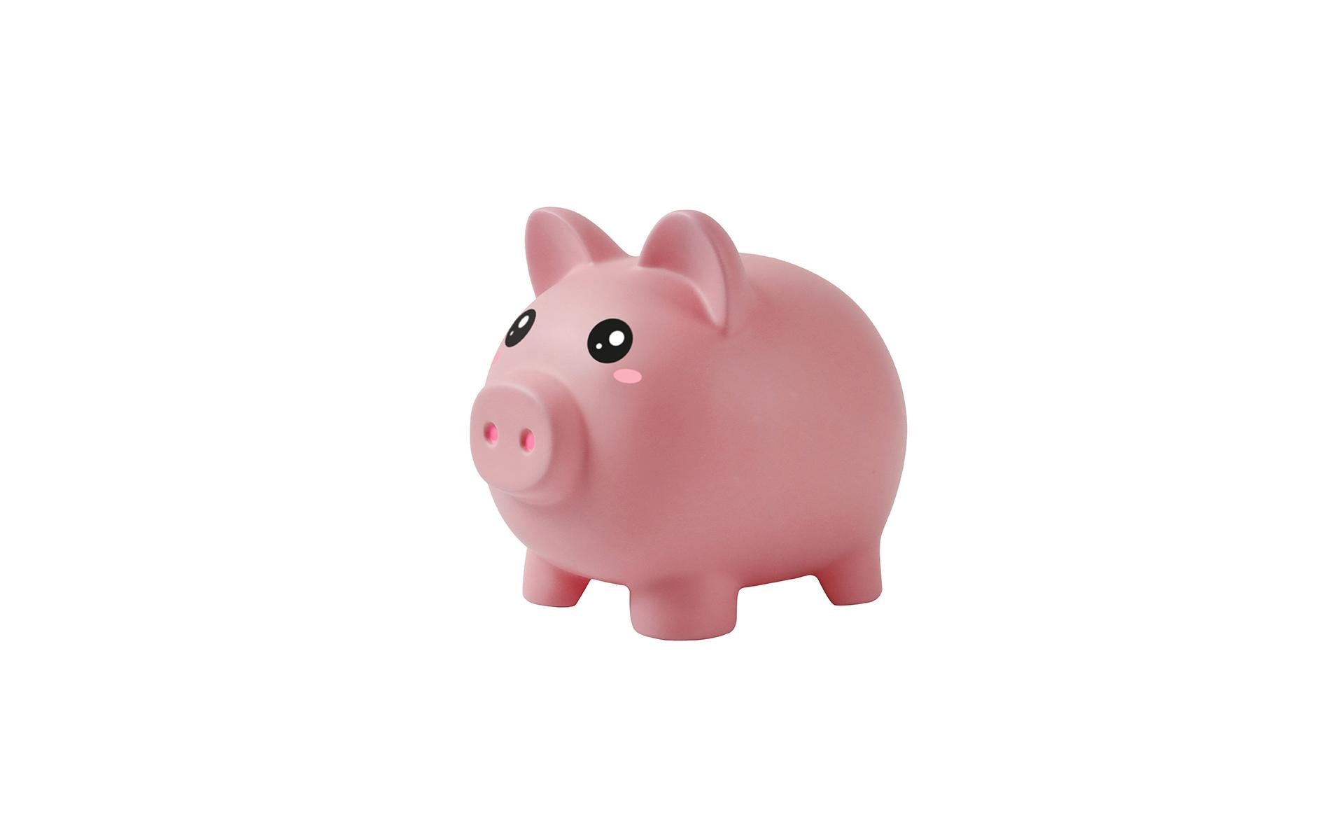 Basteln Spardose Schwein