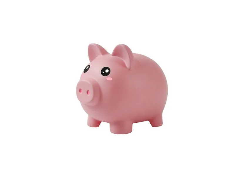 Basteln Spardose Schwein