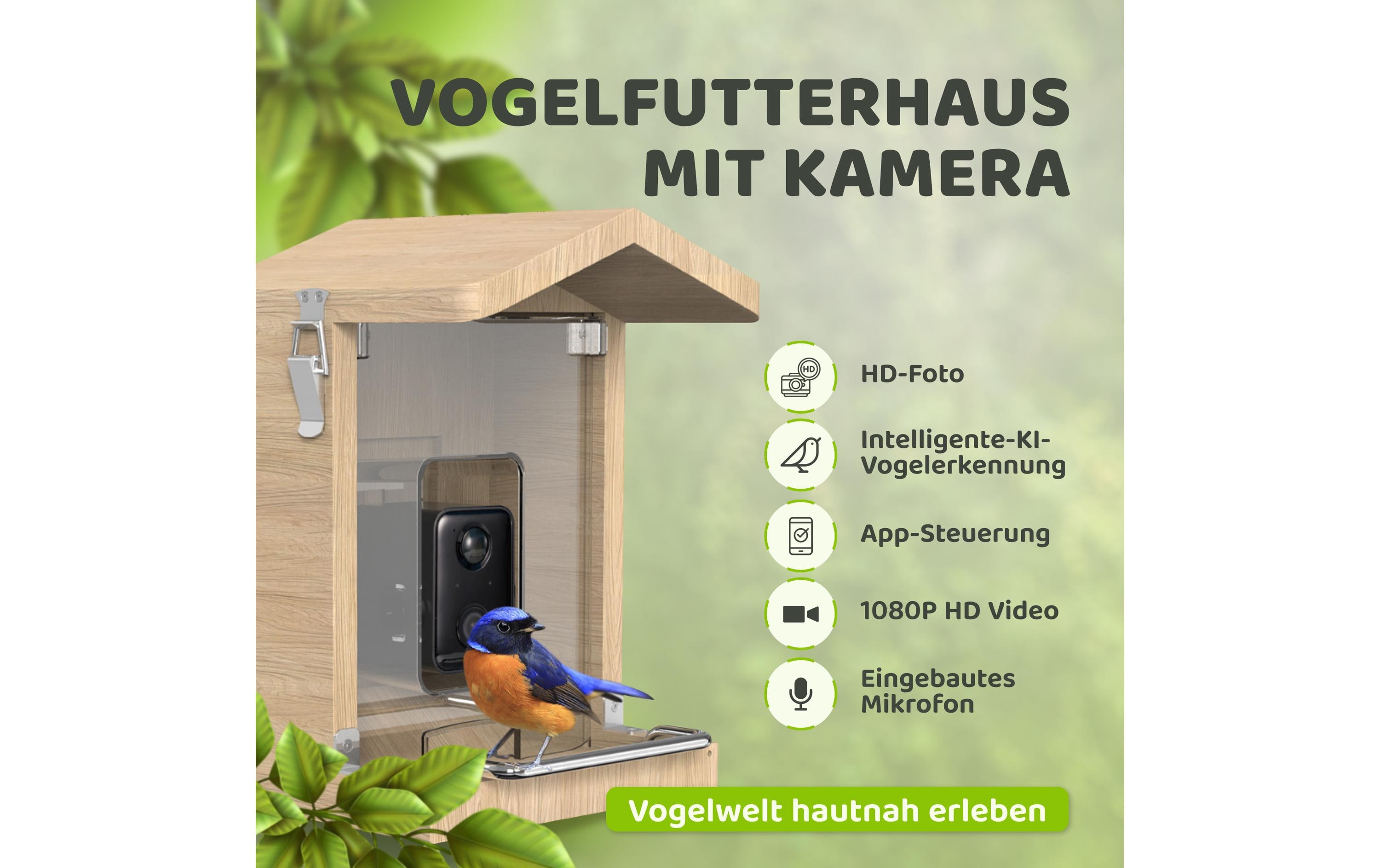 Sanilu Vogelfutterhaus mit Kamera ohne Solarpanel