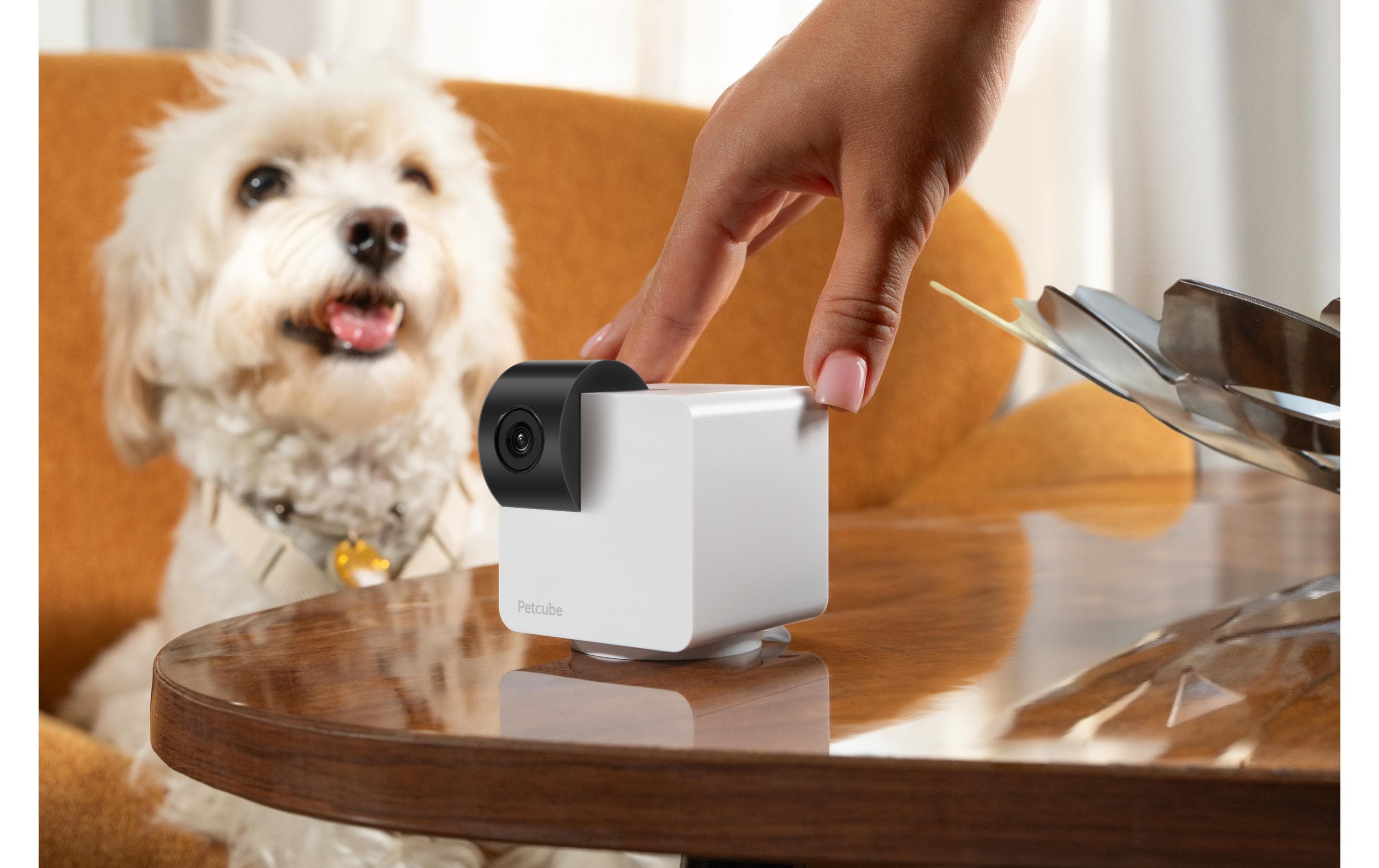 Petcube Haustierkamera 360 Cam
