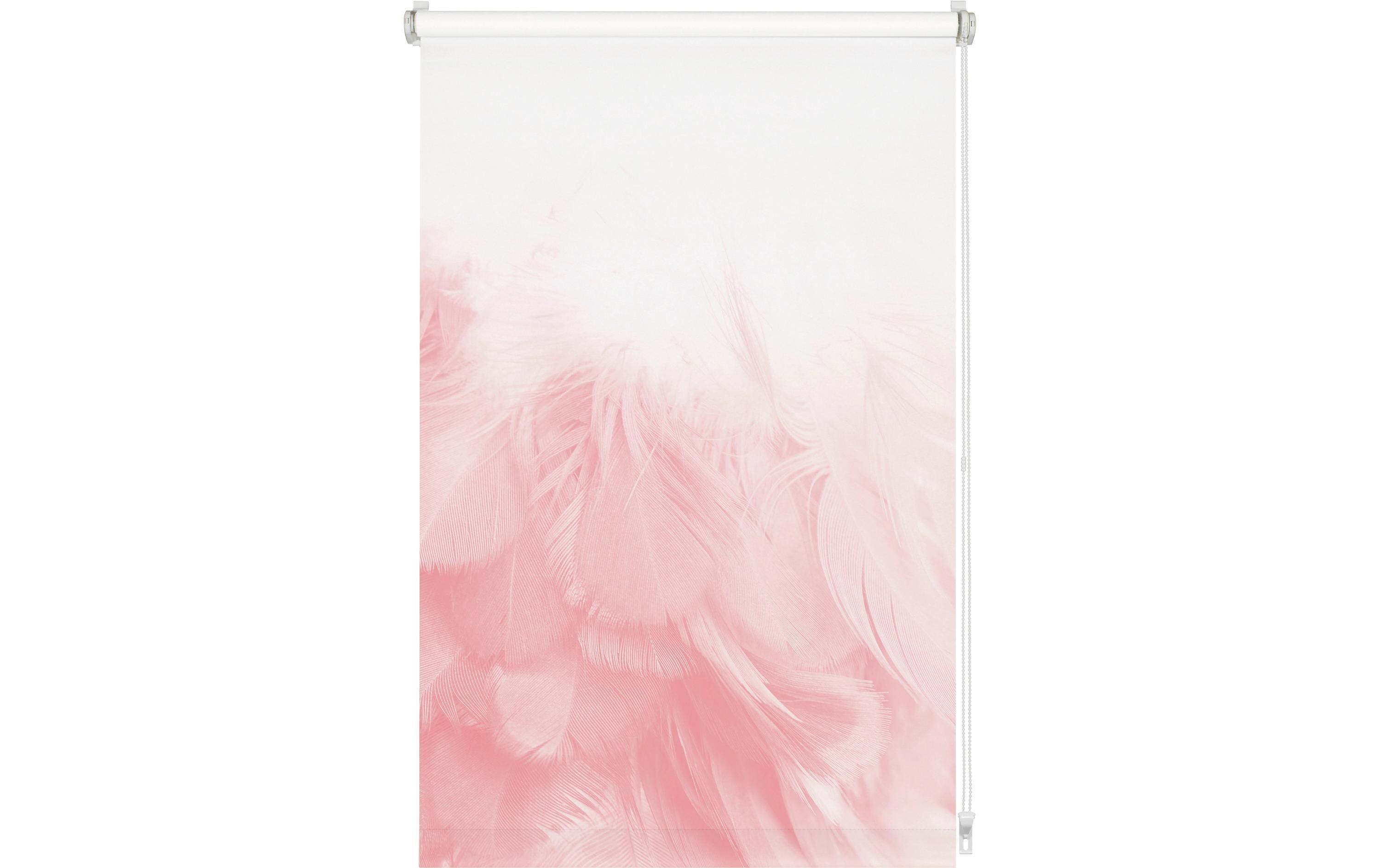 Gardinia EF Rollo Federboa 60 x 150 cm, Pink/Weiss