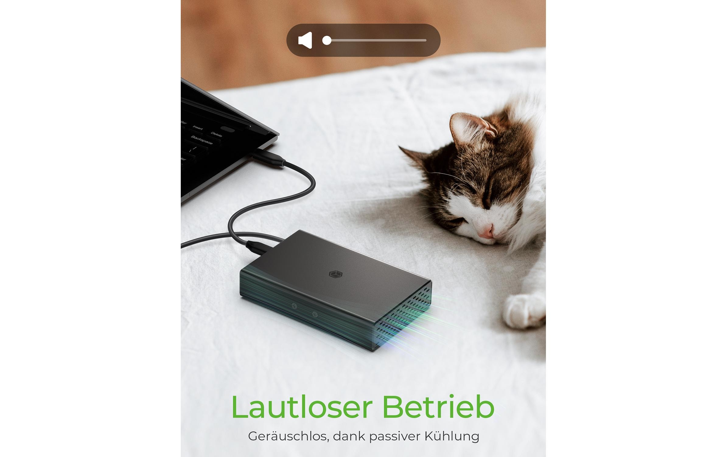 ICY BOX Externes Gehäuse IB-RD2253-C31 2.5 ICY BOX Externes Gehäuse IB-RD2253-C31 2.5