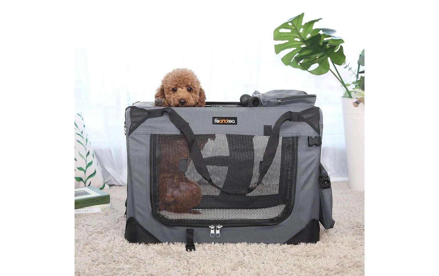 Feandrea Transportbox für Hunde & Katzen M