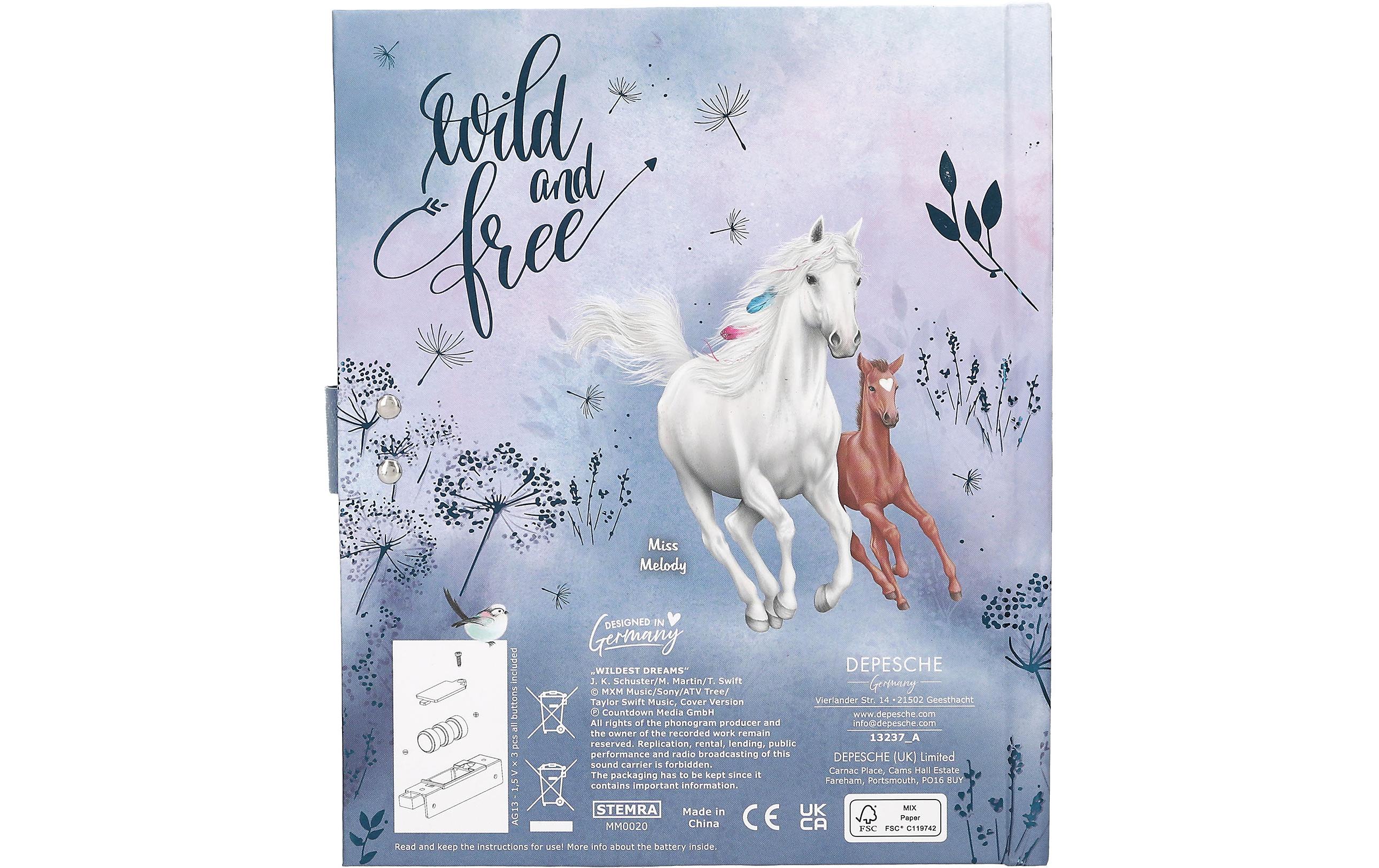 Depesche Tagebuch Miss Melody mit Code und Musik