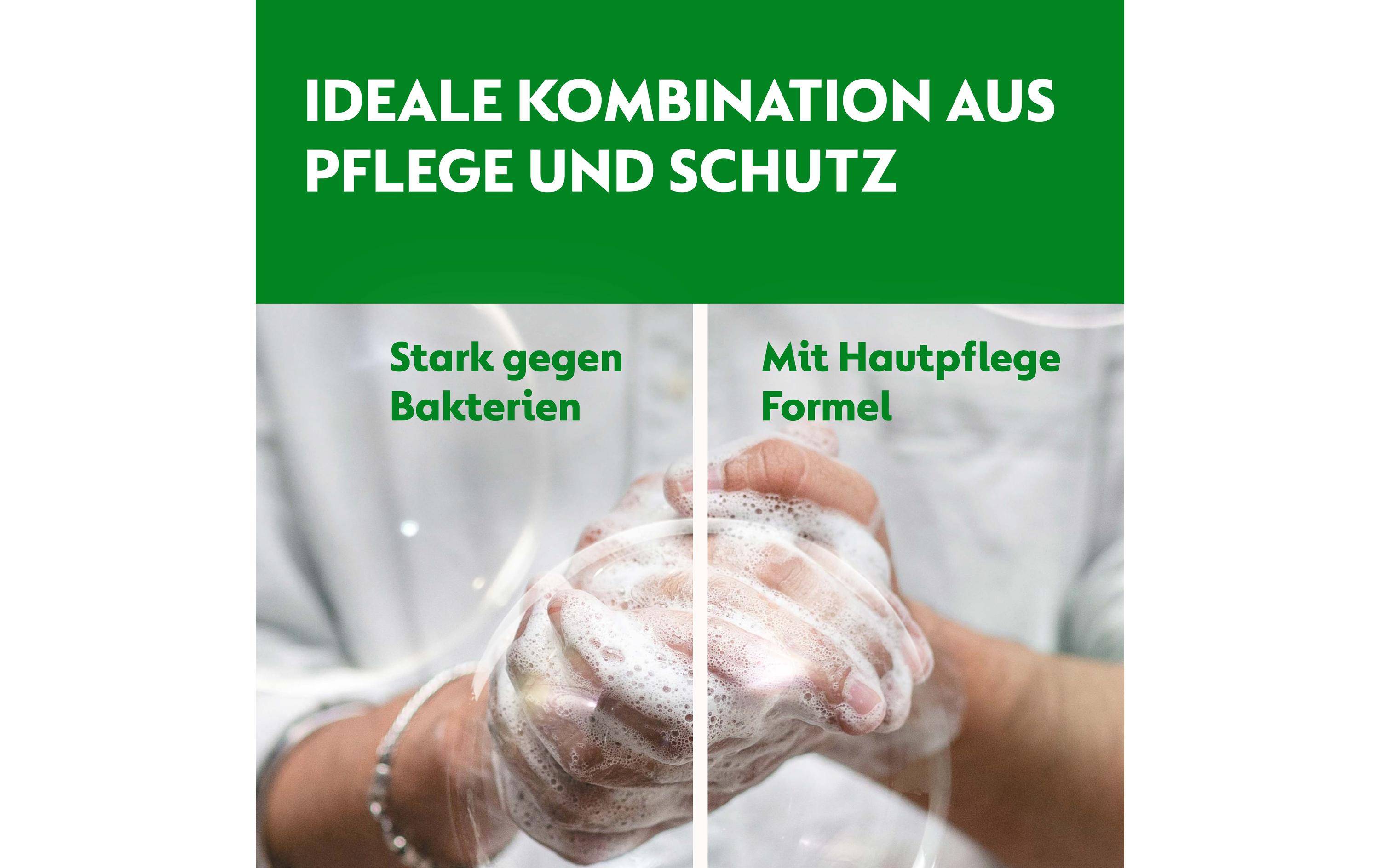 Dettol Seife No Touch Honig 250 ml Dettol Seife No Touch Honig 250 ml