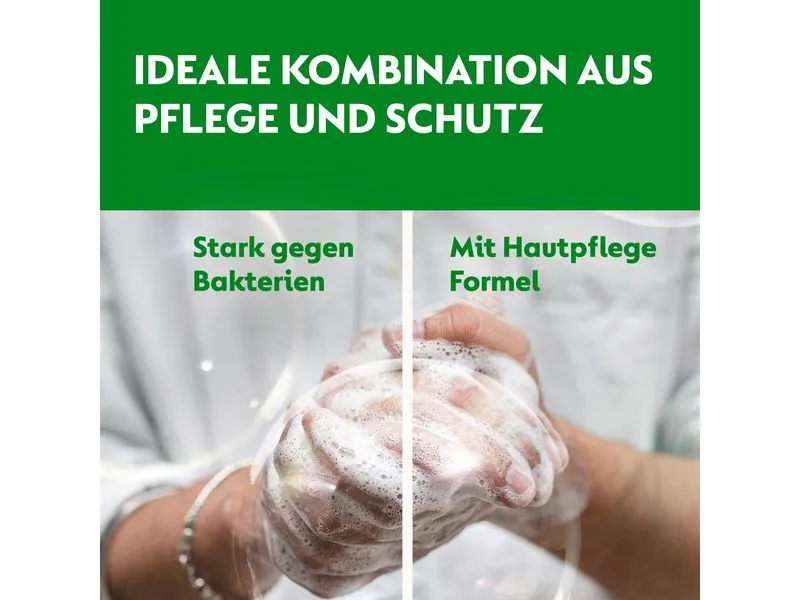 Dettol Seife No Touch Honig 250 ml Dettol Seife No Touch Honig 250 ml