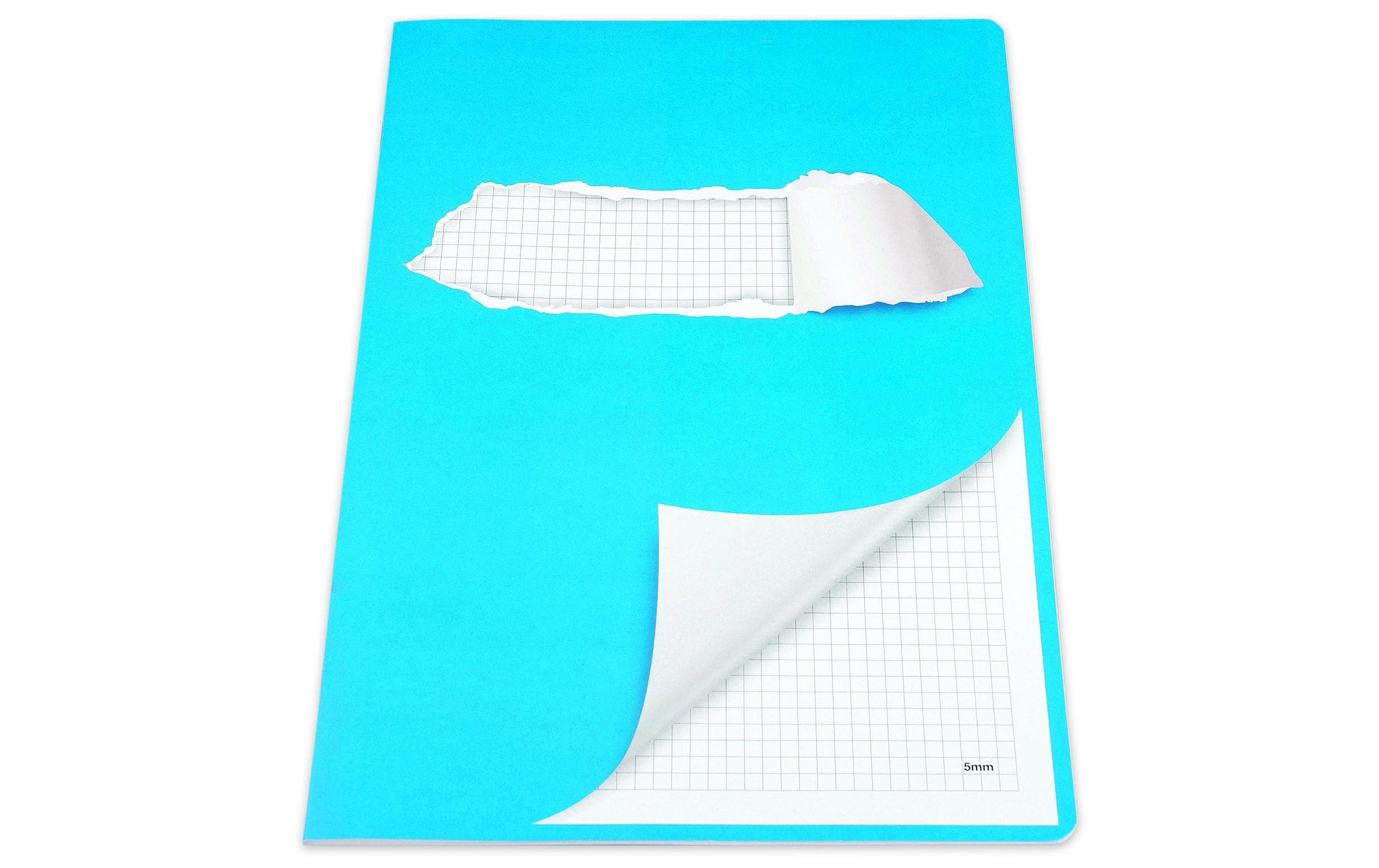 ELCO Schulheft mit Rand A4, Kariert, Blau/Weiss ELCO Schulheft mit Rand A4, Kariert, Blau/Weiss