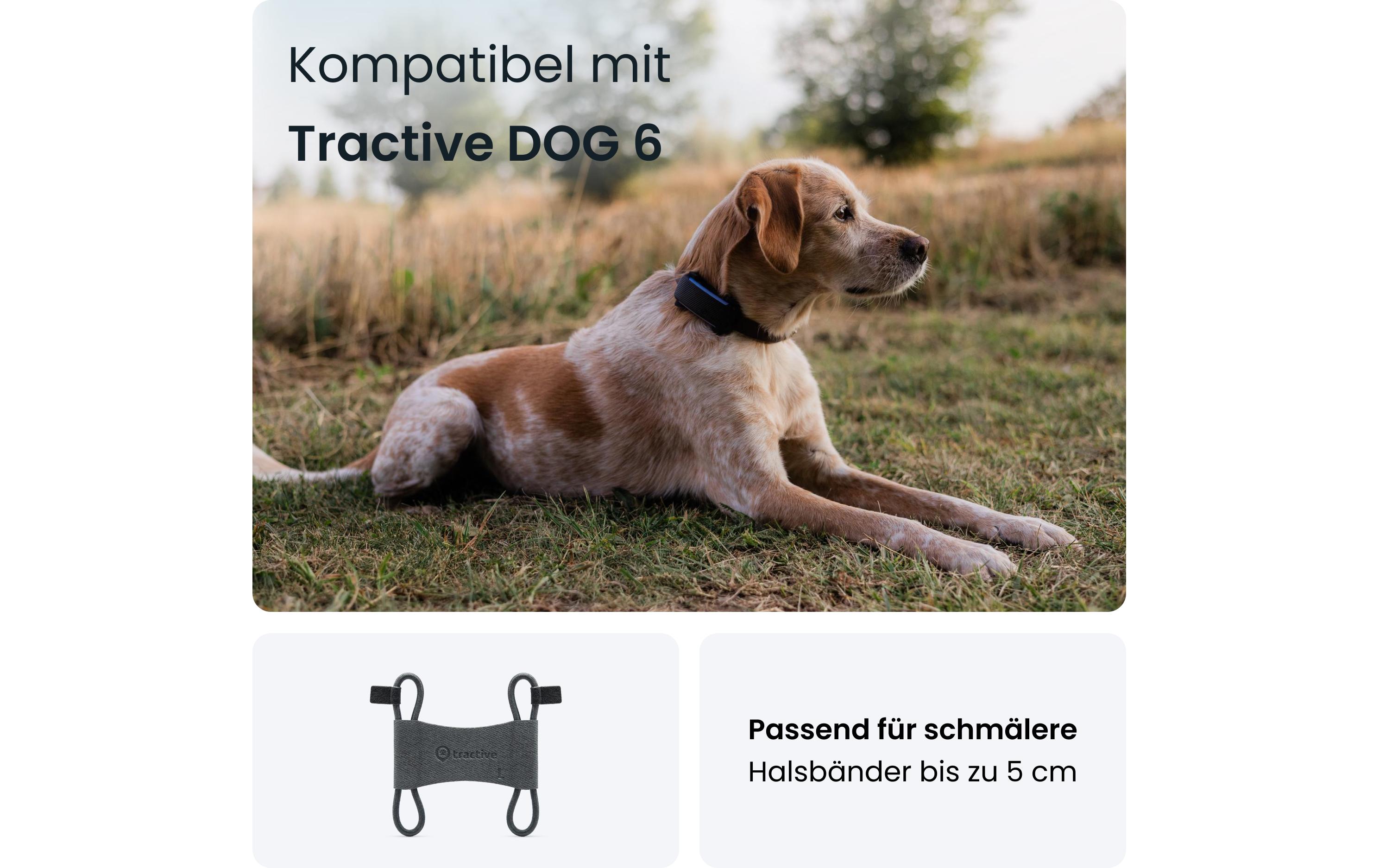tractive GPS-Tracker Dog 6 Textilklammer S 2 Stück