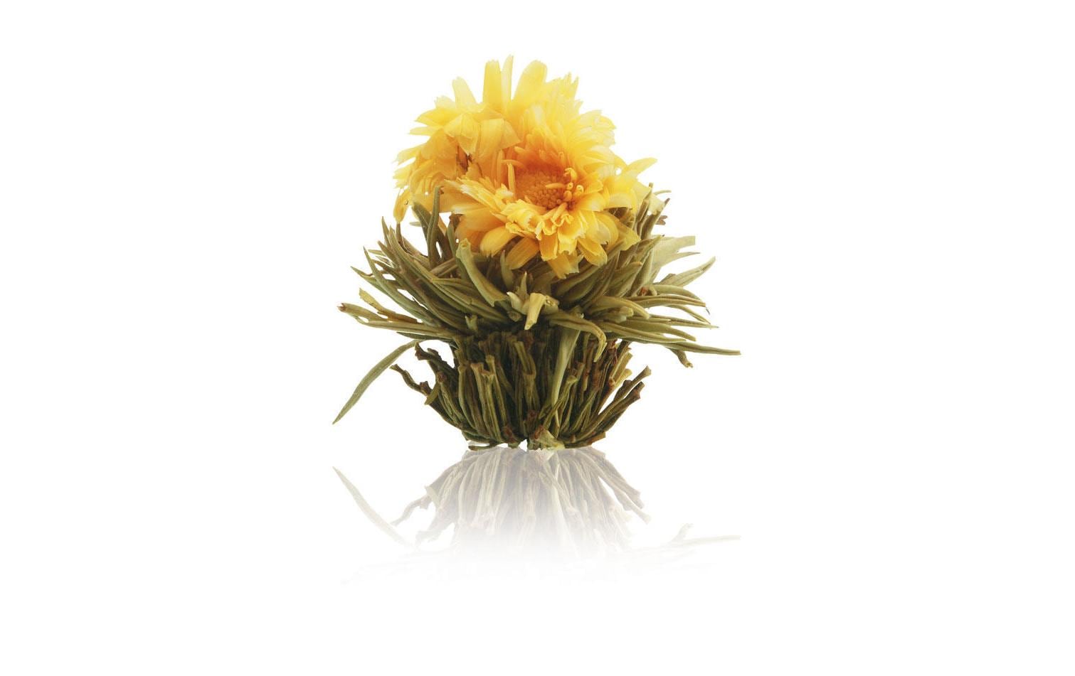 Creano Tee-Set Erblühtee 0.5 l, Transparent