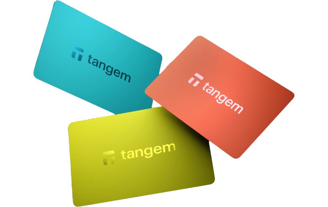 bitConsult Tangem 2.0 3 Card Set Vivid bitConsult Tangem 2.0 3 Card Set Vivid