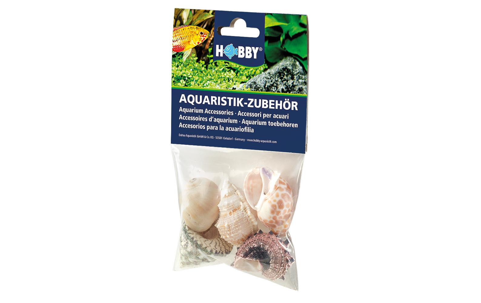 Hobby Aquaristik Dekoration Sea Shells Set, L, 5 Stück