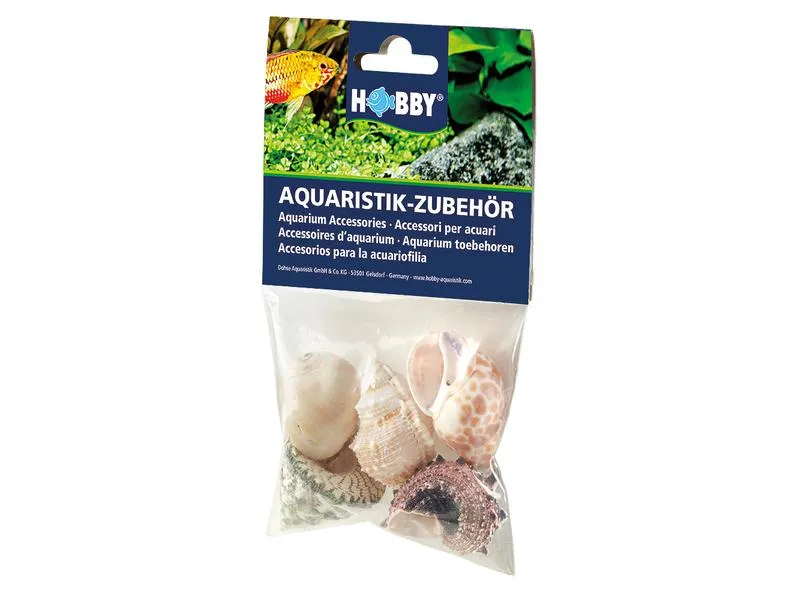 Hobby Aquaristik Dekoration Sea Shells Set, L, 5 Stück Hobby Aquaristik Dekoration Sea Shells Set, L, 5 Stück