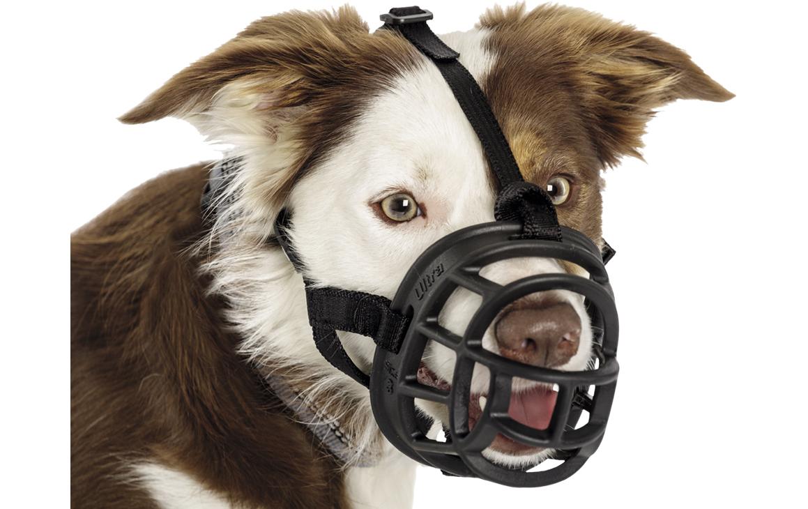 Baskerville Maulkorb Ultra Muzzle Gr. 4