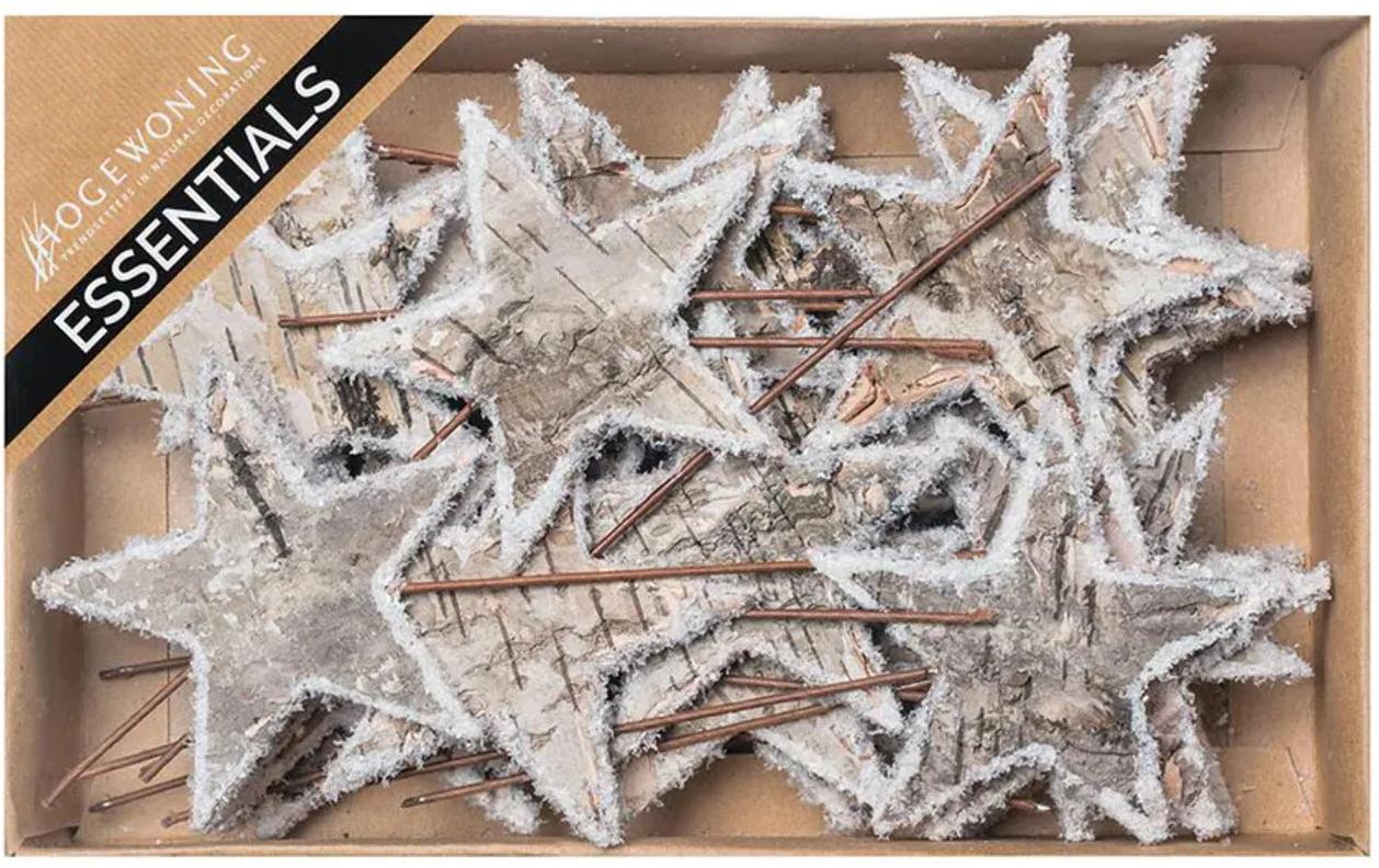 CHALET Deko Birkensterne auf Draht 30 Stück