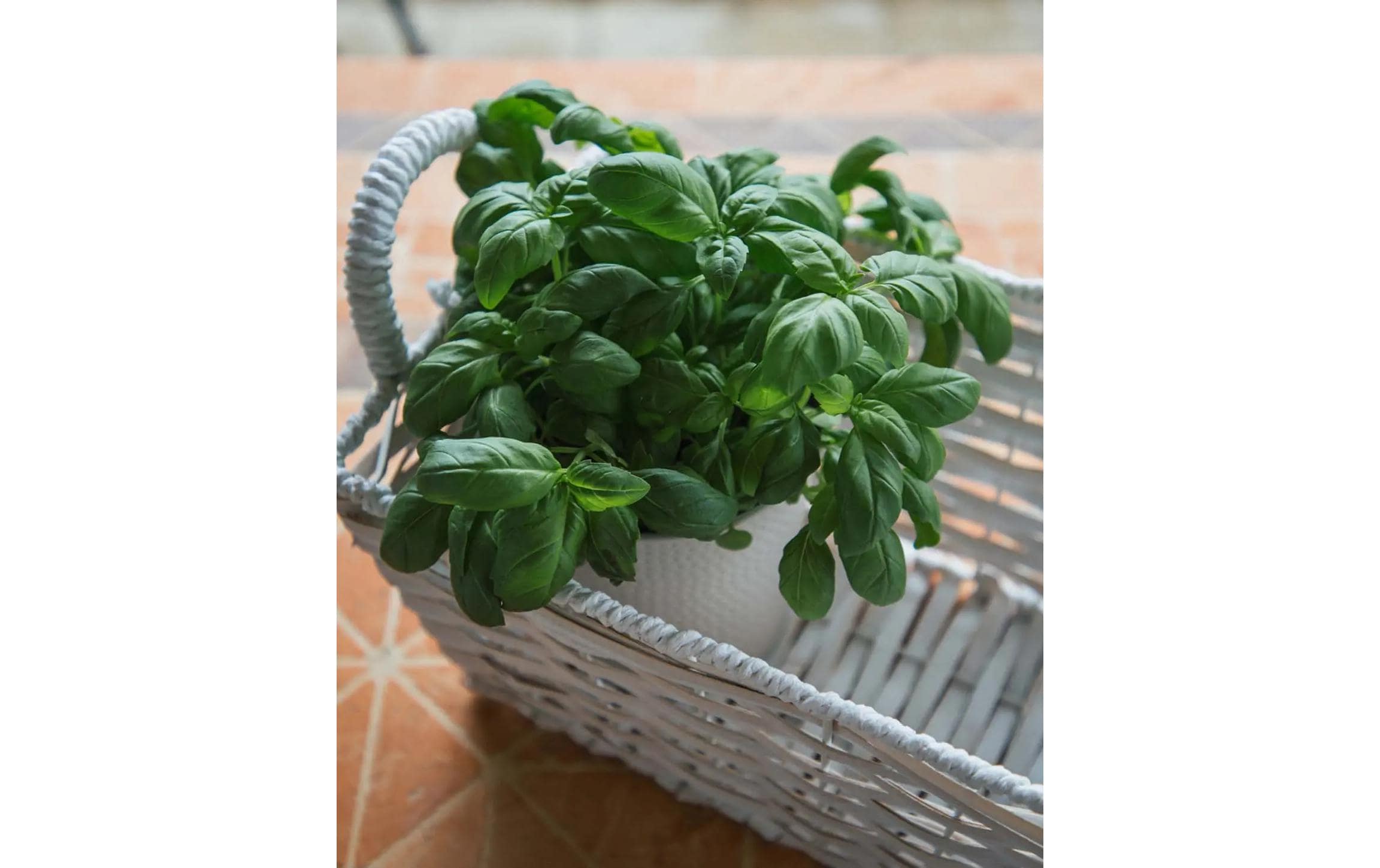 Esmée Flechtkorb 30 cm x 20 cm x 22 cm