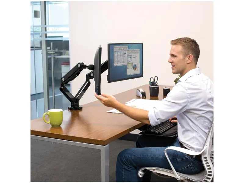 Fellowes Platinum für 2 Monitore Fellowes Platinum für 2 Monitore