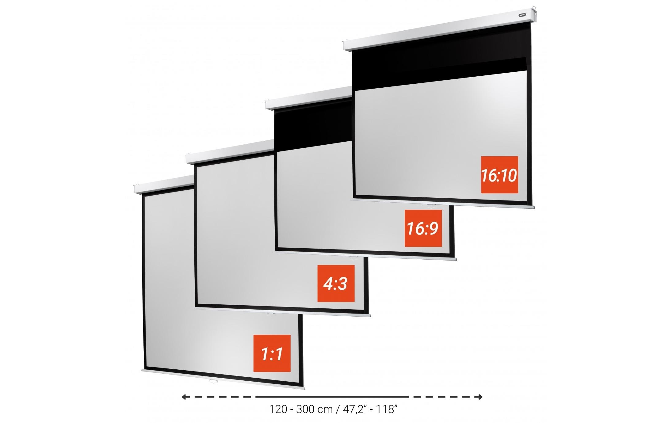 Celexon Rollo-Leinwand Professional Plus 300x225 cm 4:3