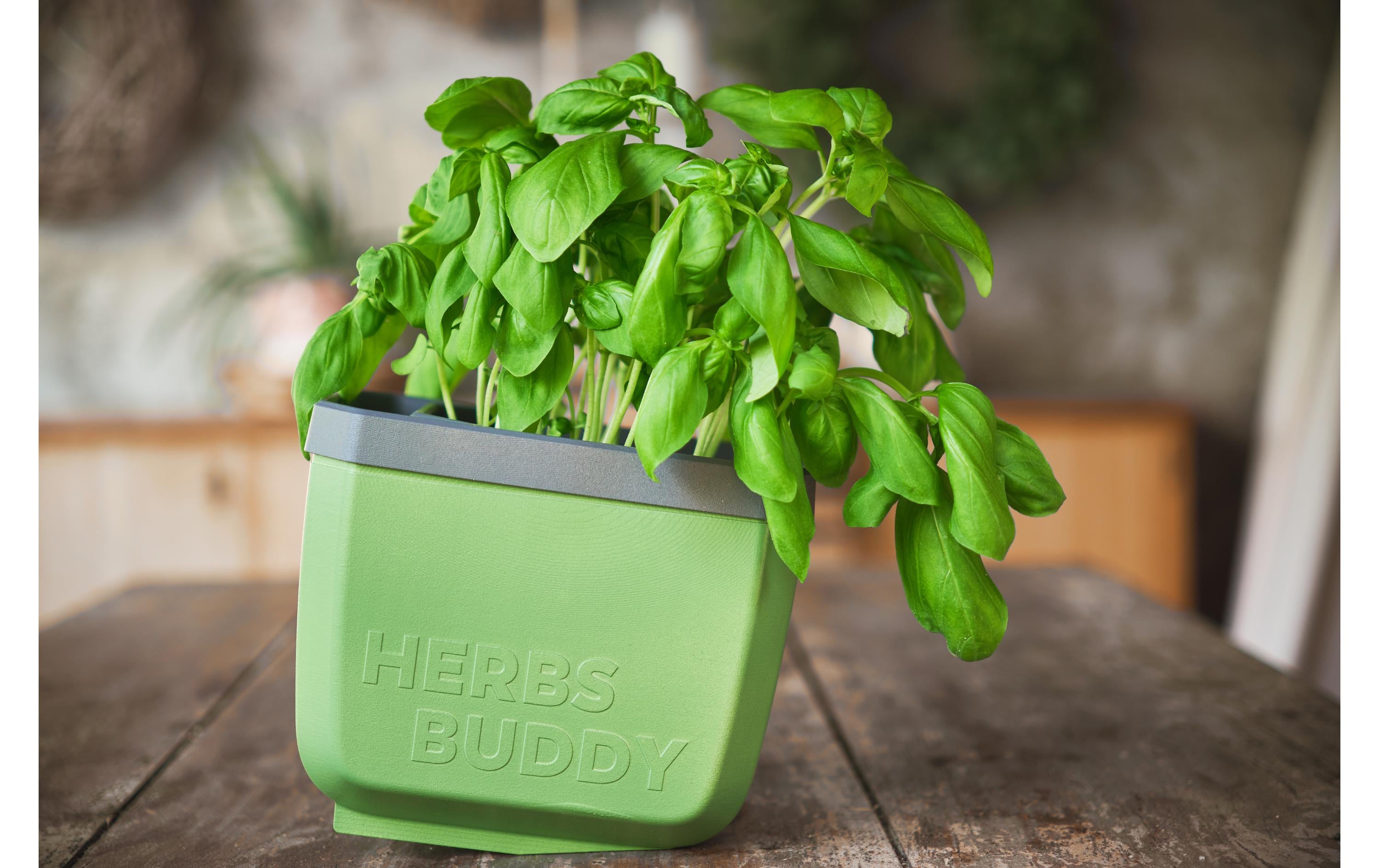 Gusta Garden HERBS BUDDY Kräutertopf 3er Set Grün