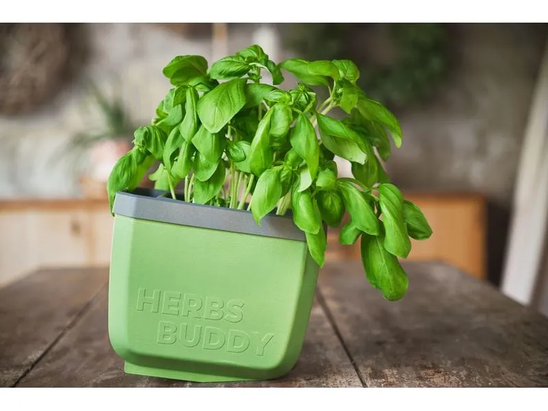 Gusta Garden HERBS BUDDY Kräutertopf 3er Set Grün