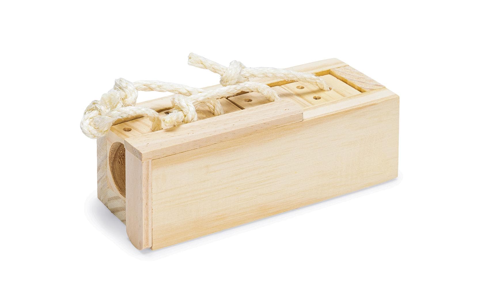 Karlie Nager Brain Train 21.5 x 8.5 x 7.5 cm