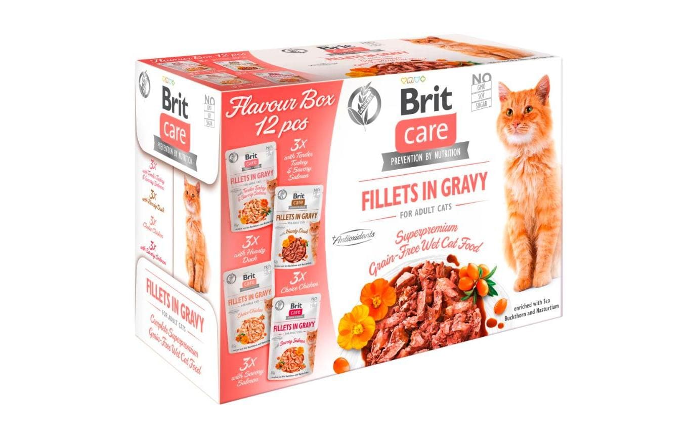Brit Nassfutter Care Flavour box Fillets Sauce, 12 x 85 g