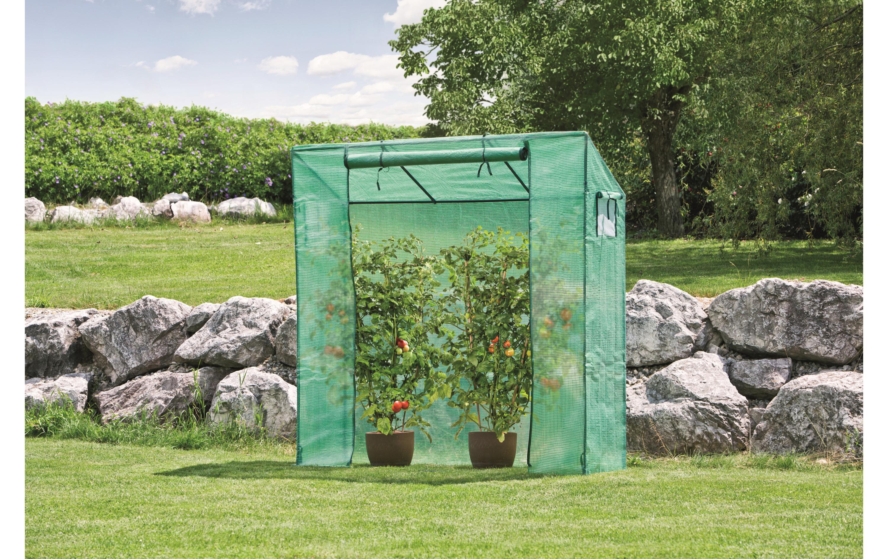 Windhager Tomatengewächshaus 60 x 195 x 200 cm Windhager Tomatengewächshaus 60 x 195 x 200 cm