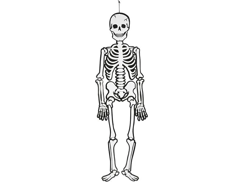 Creativ Company Halloweenfigur Papierdeko Skelett 120 cm, 300g Creativ Company Halloweenfigur Papierdeko Skelett 120 cm, 300g