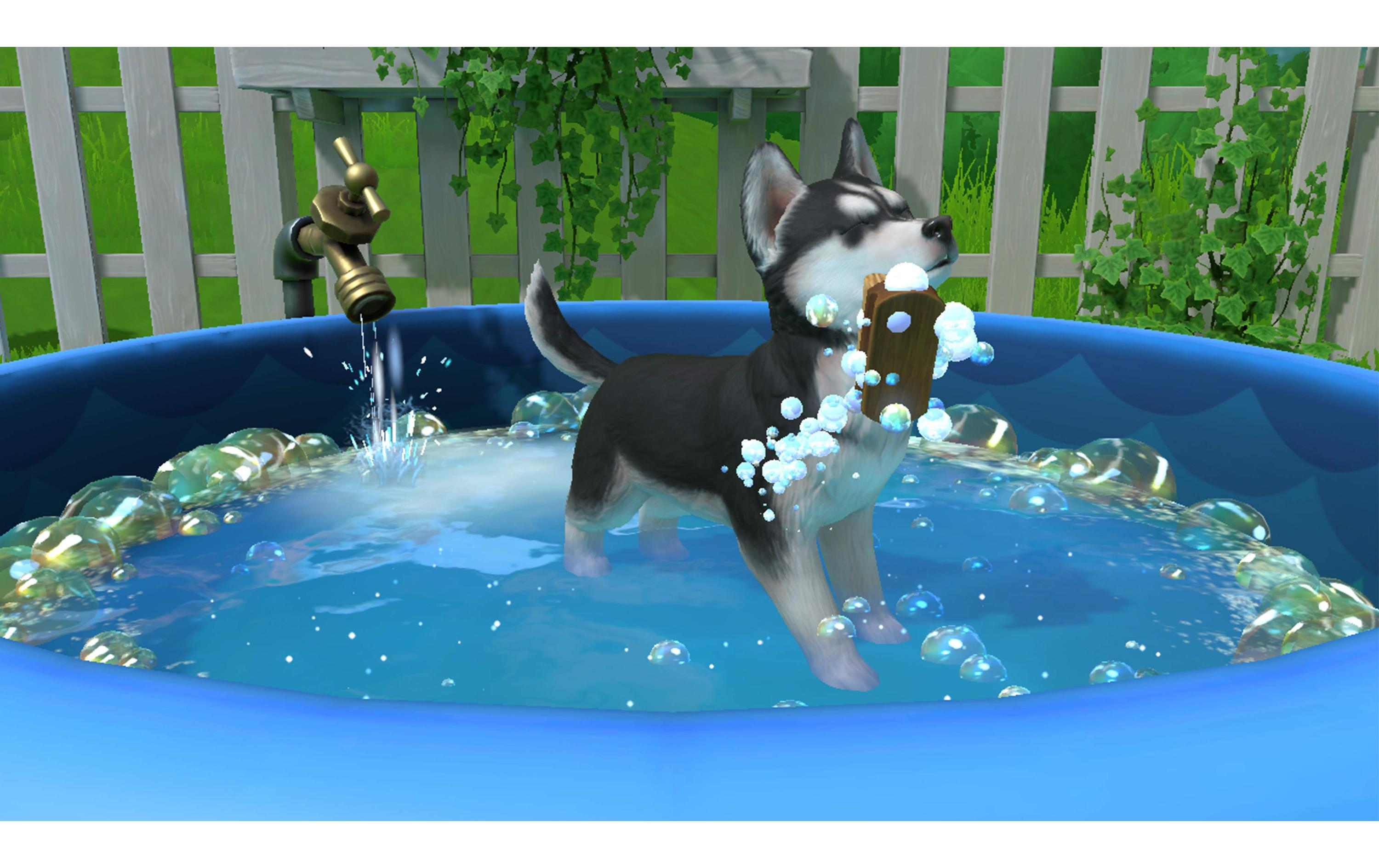 GAME Little Friends: Puppy Island