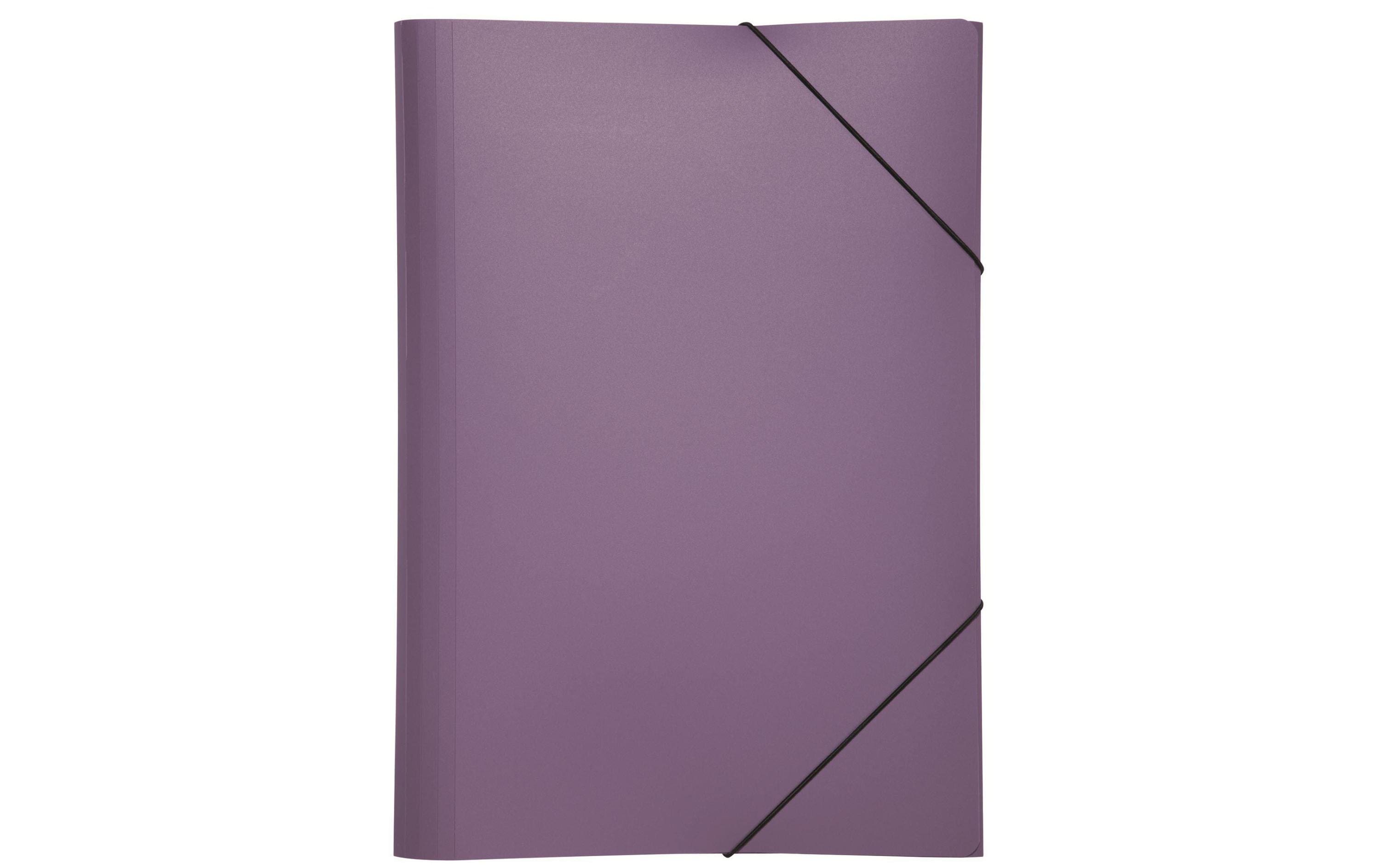 Pagna Gummibandmappe A4 PP Lila