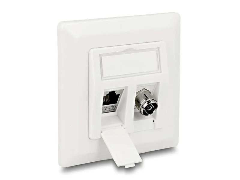 Delock Montageset Keystone 2 Port Anschlussdose Delock Montageset Keystone 2 Port Anschlussdose