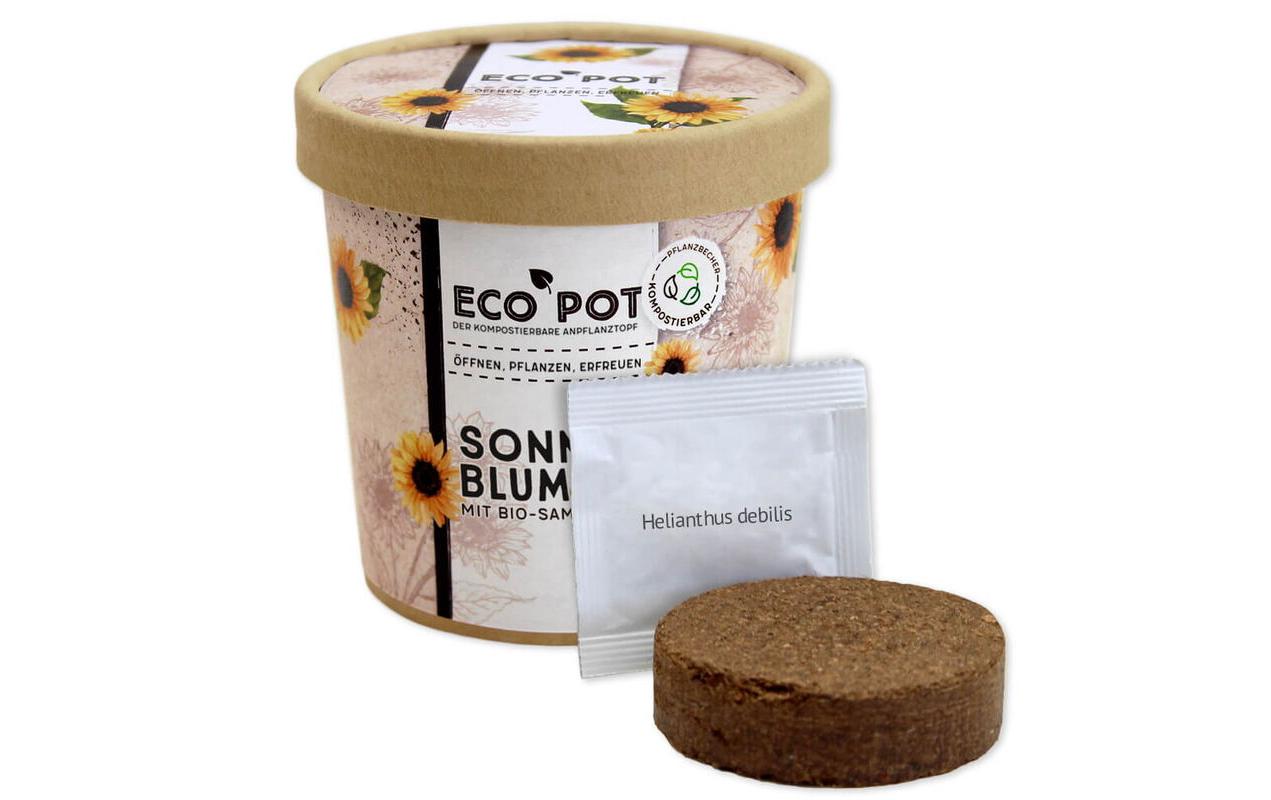 Feel Green EcoPot Sonnenblume BIO Feel Green EcoPot Sonnenblume BIO